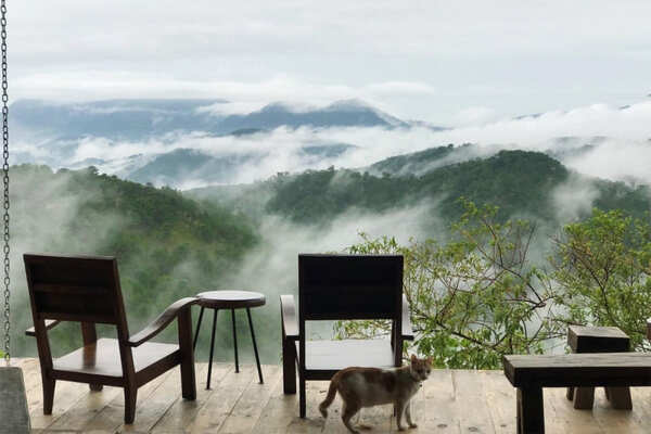 Ngẩn ngơ với Top 10 quán cafe săn mây ở Đà Lạt, chụp ảnh mỏi tay nhé!