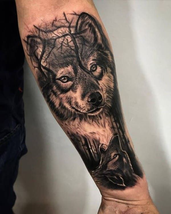 Hình xăm sói - Ý nghĩa biểu tượng và top 99+ hình tattoo sói cực chất -  Cool Mate