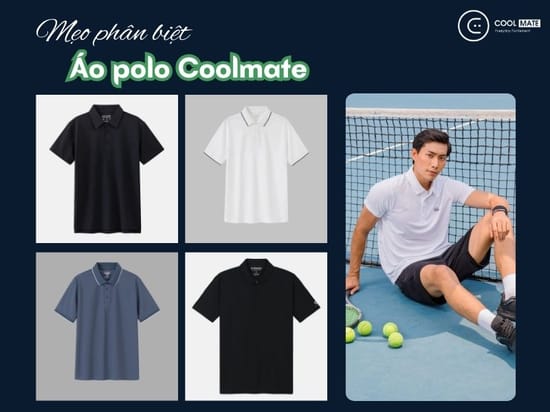 Phân biệt các dòng áo Polo Coolmate bán chạy nhất 